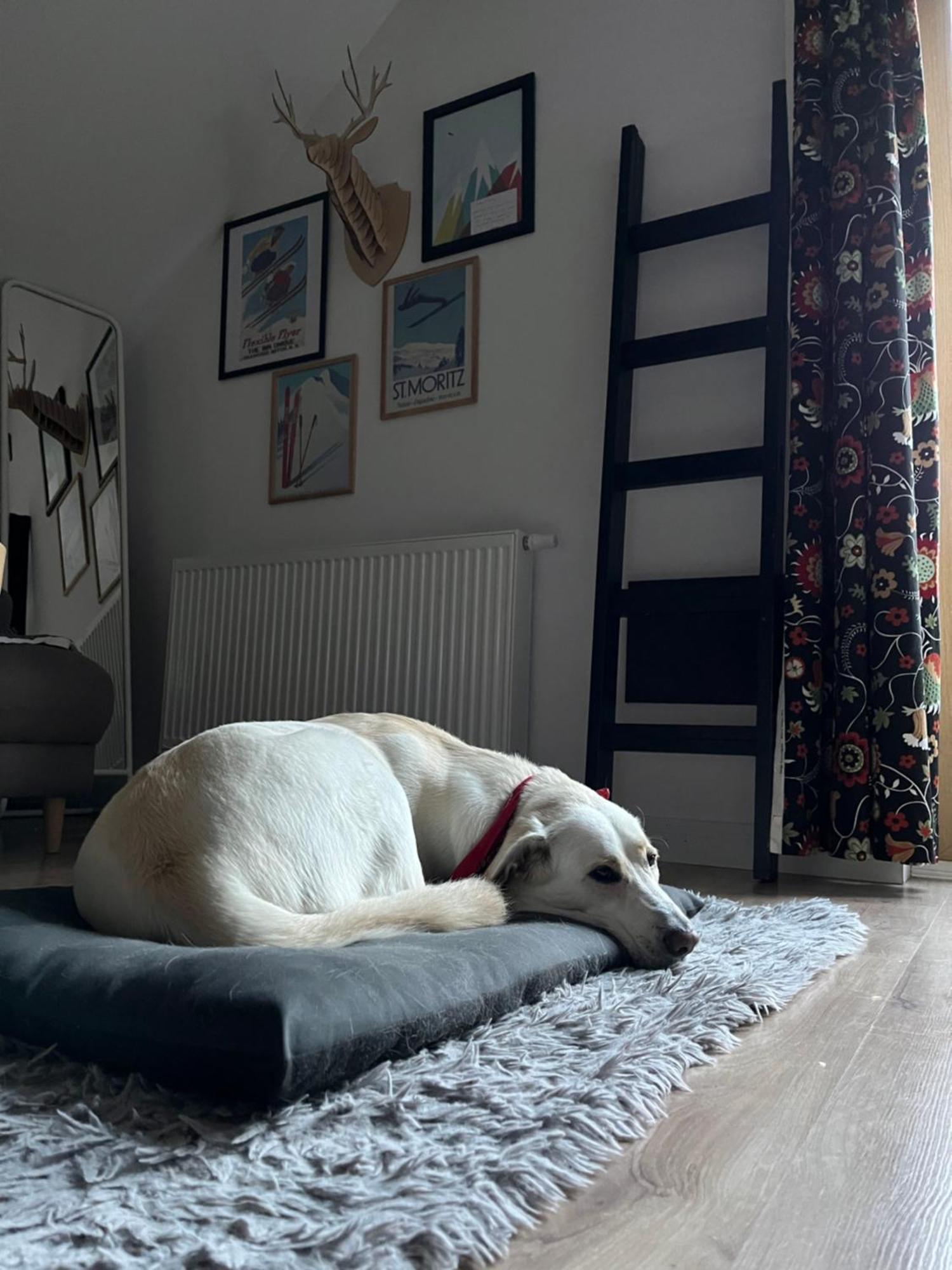 Apartament Folkowe Podgorze Szklarska Poręba Zewnętrze zdjęcie